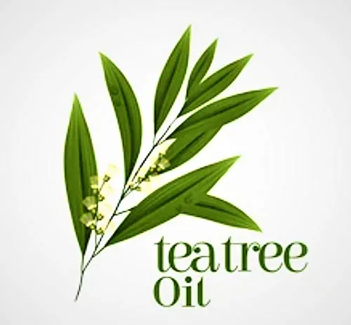 100% Natural Healing Tea Tree Ointment: for nail infections, athletes foot, bad odours and more 60ml