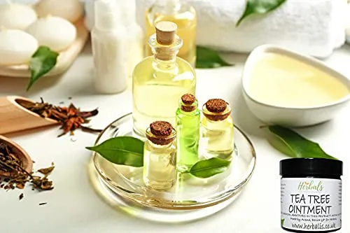100% Natural Healing Tea Tree Ointment: for nail infections, athletes foot, bad odours and more 60ml