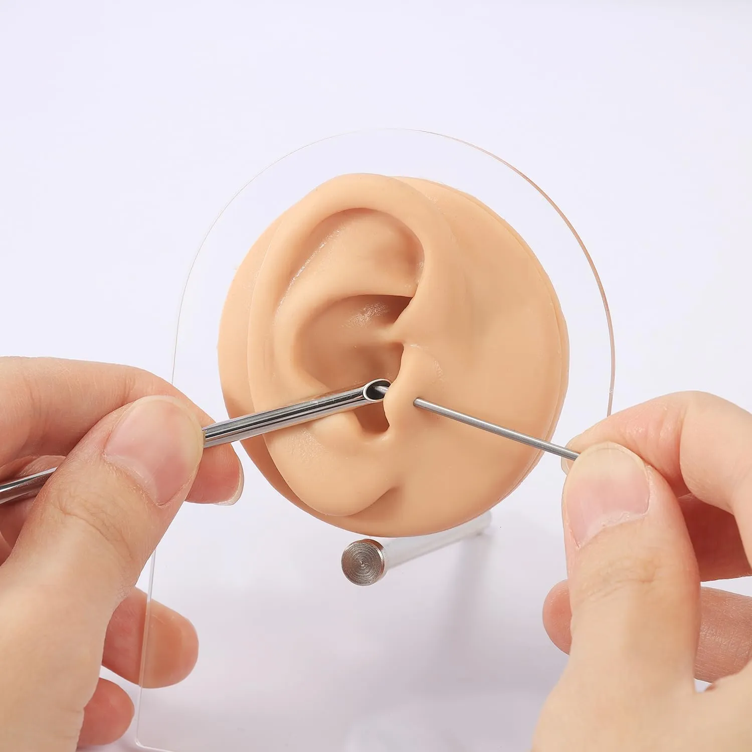 AccGin 1Pc Soft Silicone Body Parts Model Human Ear Mouth Nose Eye Tongue Navel Model Display Puncture Display Simulation for Jewelry Display Teaching Tool piercing practice body parts