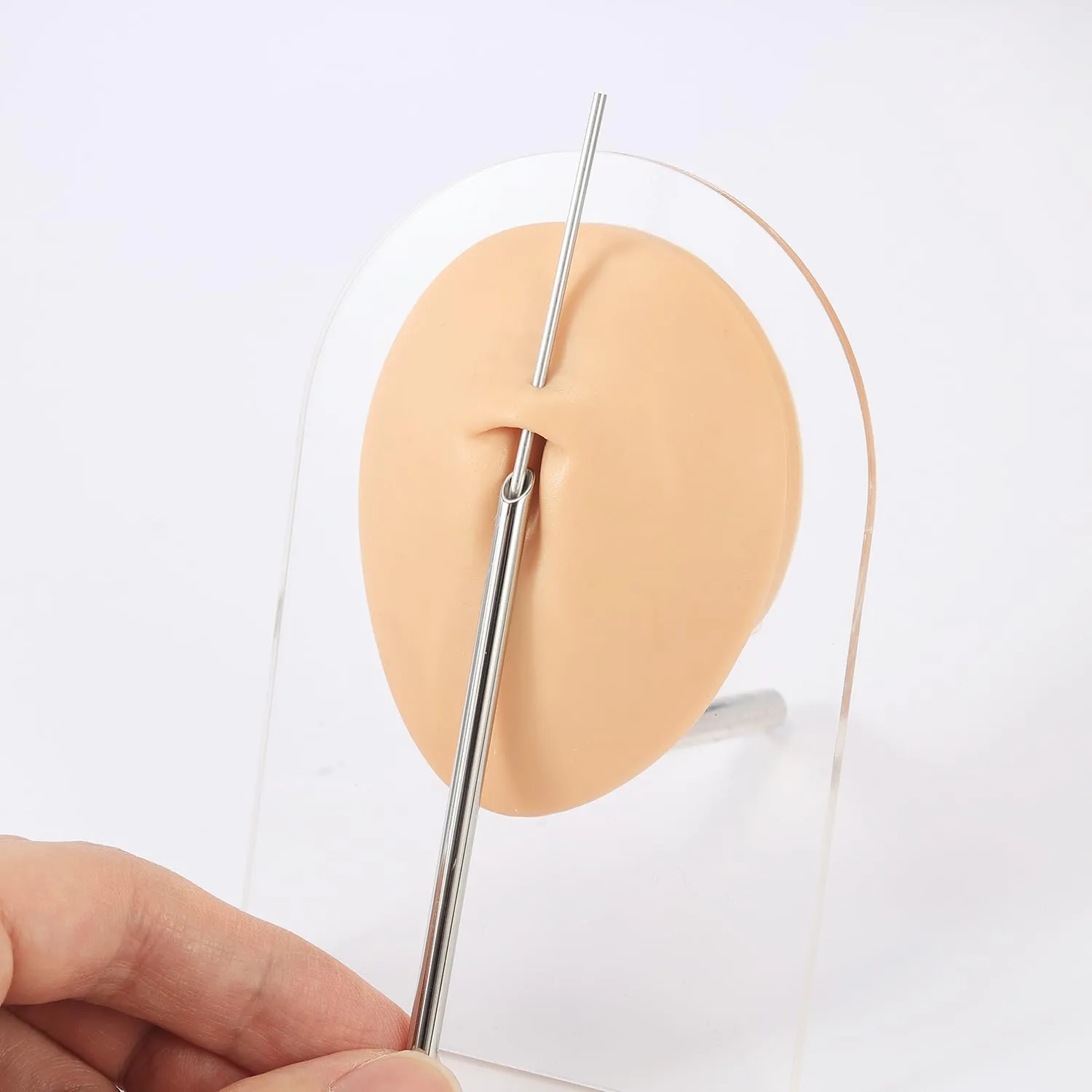 AccGin 1Pc Soft Silicone Body Parts Model Human Ear Mouth Nose Eye Tongue Navel Model Display Puncture Display Simulation for Jewelry Display Teaching Tool piercing practice body parts