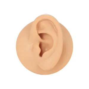 AccGin 1Pc Soft Silicone Body Parts Model Human Ear Mouth Nose Eye Tongue Navel Model Display Puncture Display Simulation for Jewelry Display Teaching Tool piercing practice body parts