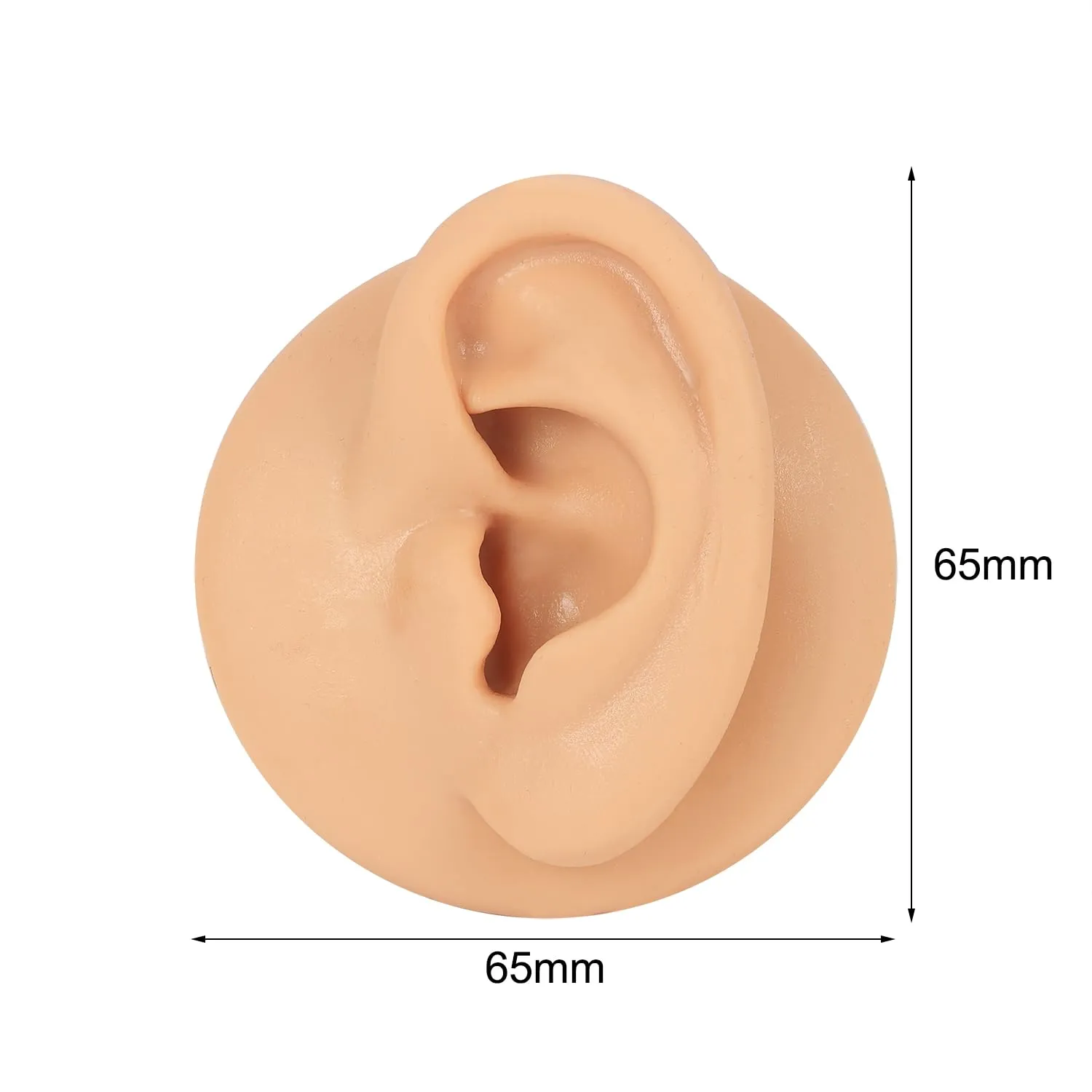 AccGin 1Pc Soft Silicone Body Parts Model Human Ear Mouth Nose Eye Tongue Navel Model Display Puncture Display Simulation for Jewelry Display Teaching Tool piercing practice body parts