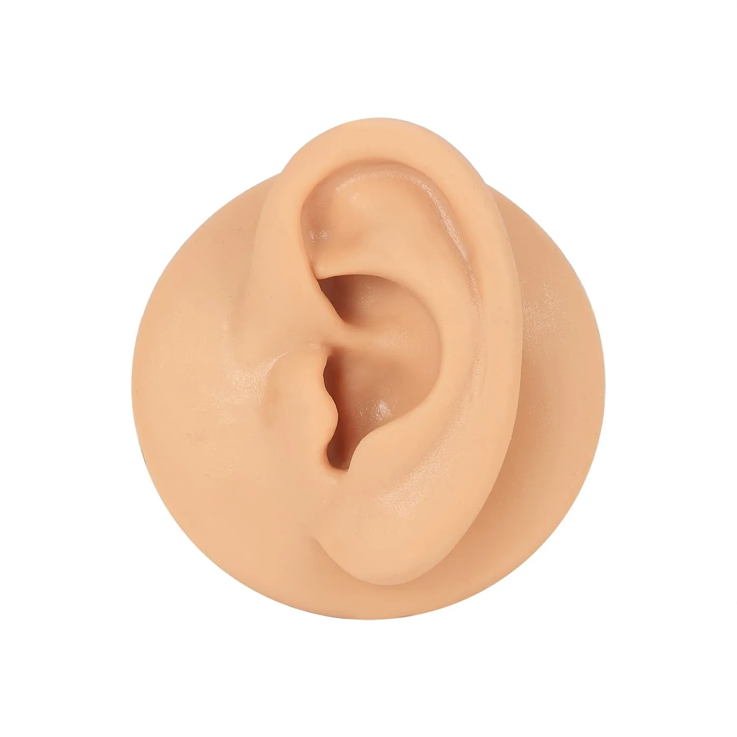 AccGin 1Pc Soft Silicone Body Parts Model Human Ear Mouth Nose Eye Tongue Navel Model Display Puncture Display Simulation for Jewelry Display Teaching Tool piercing practice body parts
