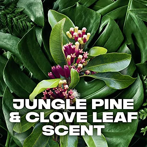 AXE Wild Antiperspirant Stick for 48h protection Jungle Pine & Clove Leaf antibacterial odour protection 76 g