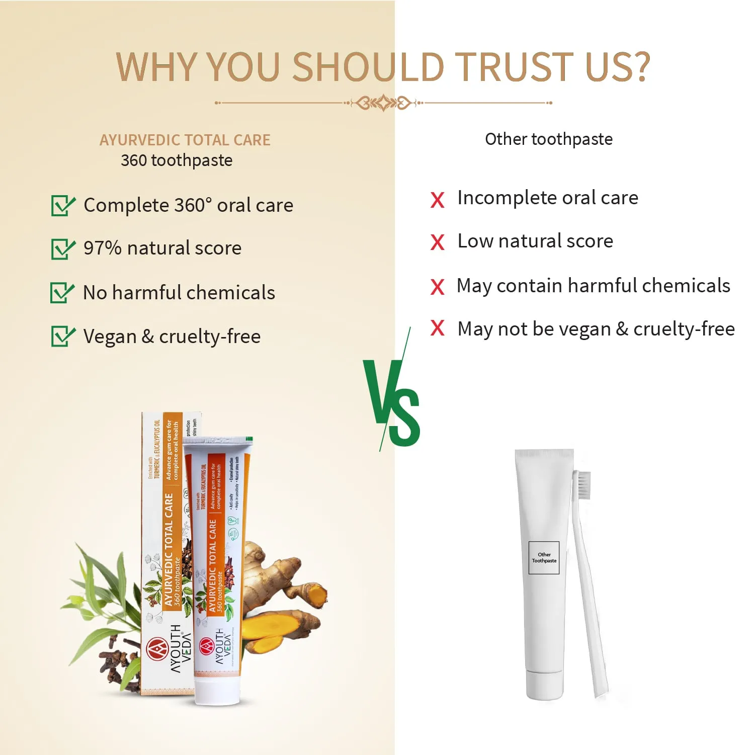 Ayouthveda Total Care 360 Toothpaste Net qty.- 100 g