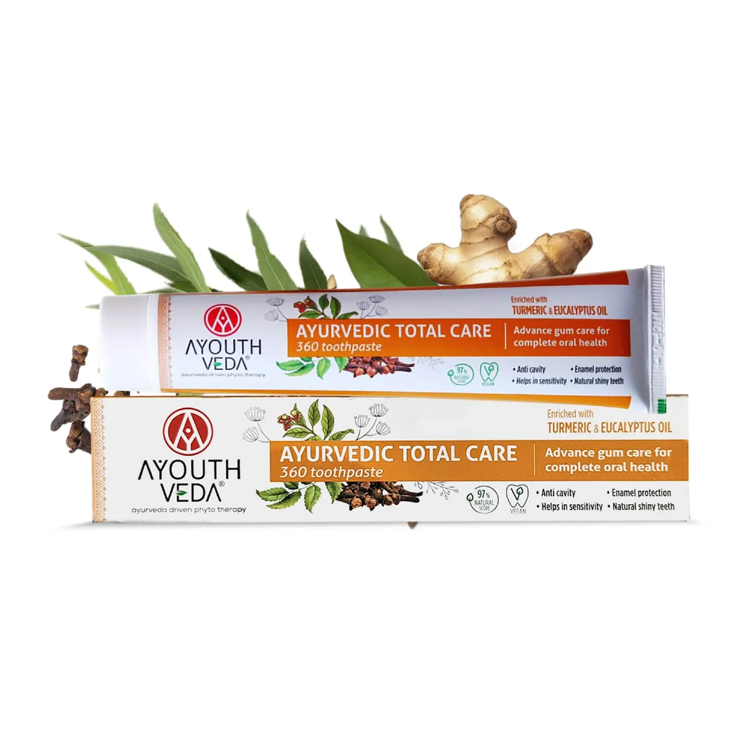 Ayouthveda Total Care 360 Toothpaste Net qty.- 100 g