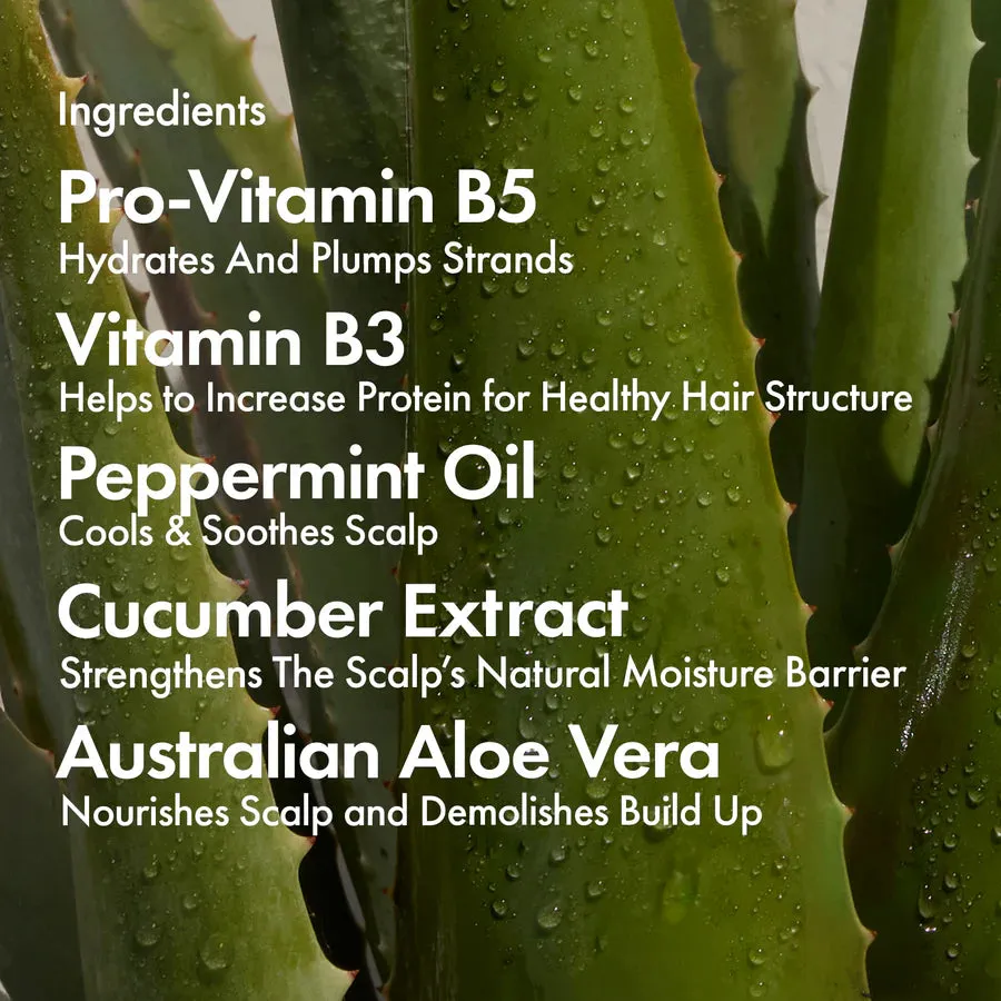 Bondi Boost Dry   Itchy Scalp Relief
