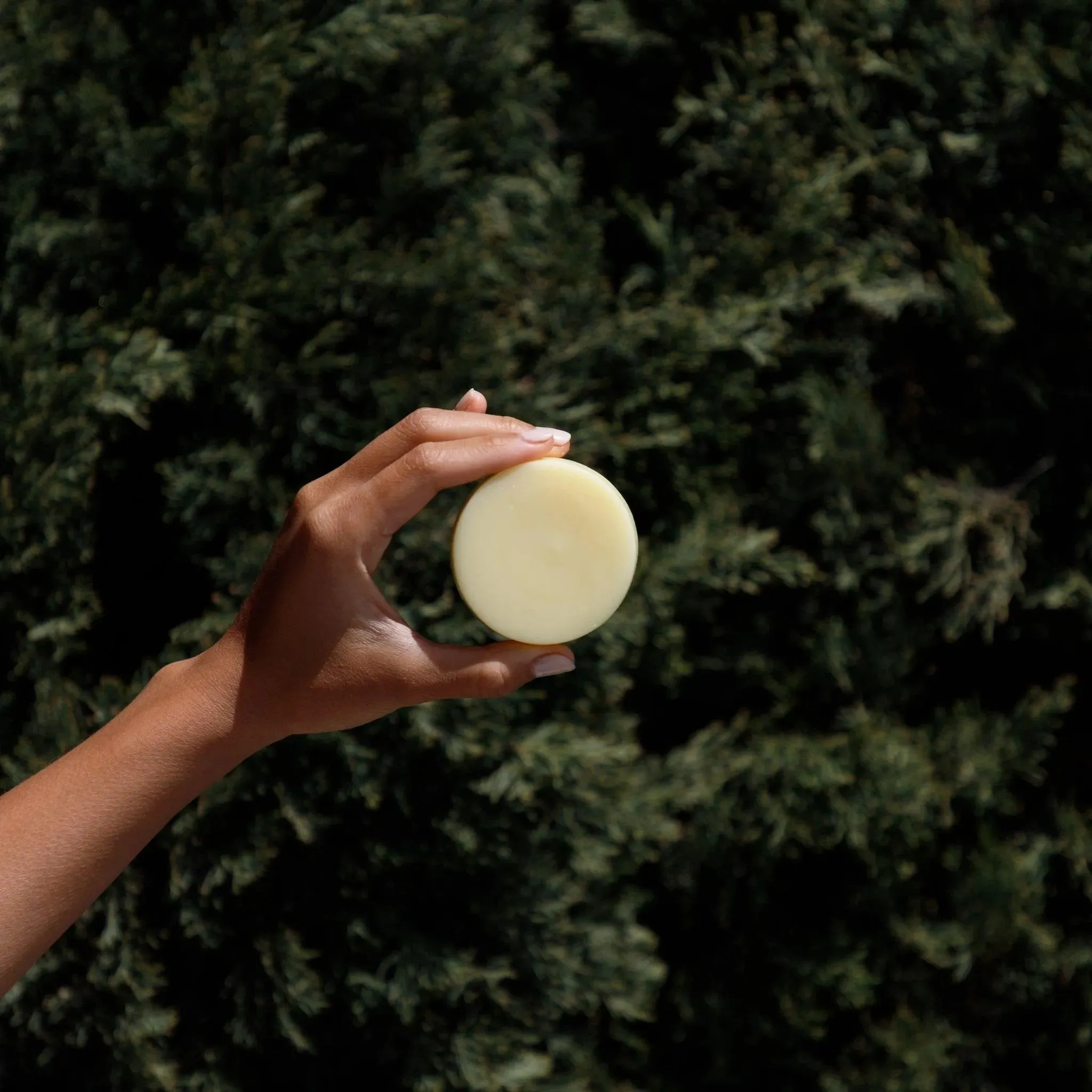 Citrus Conditioner Bar