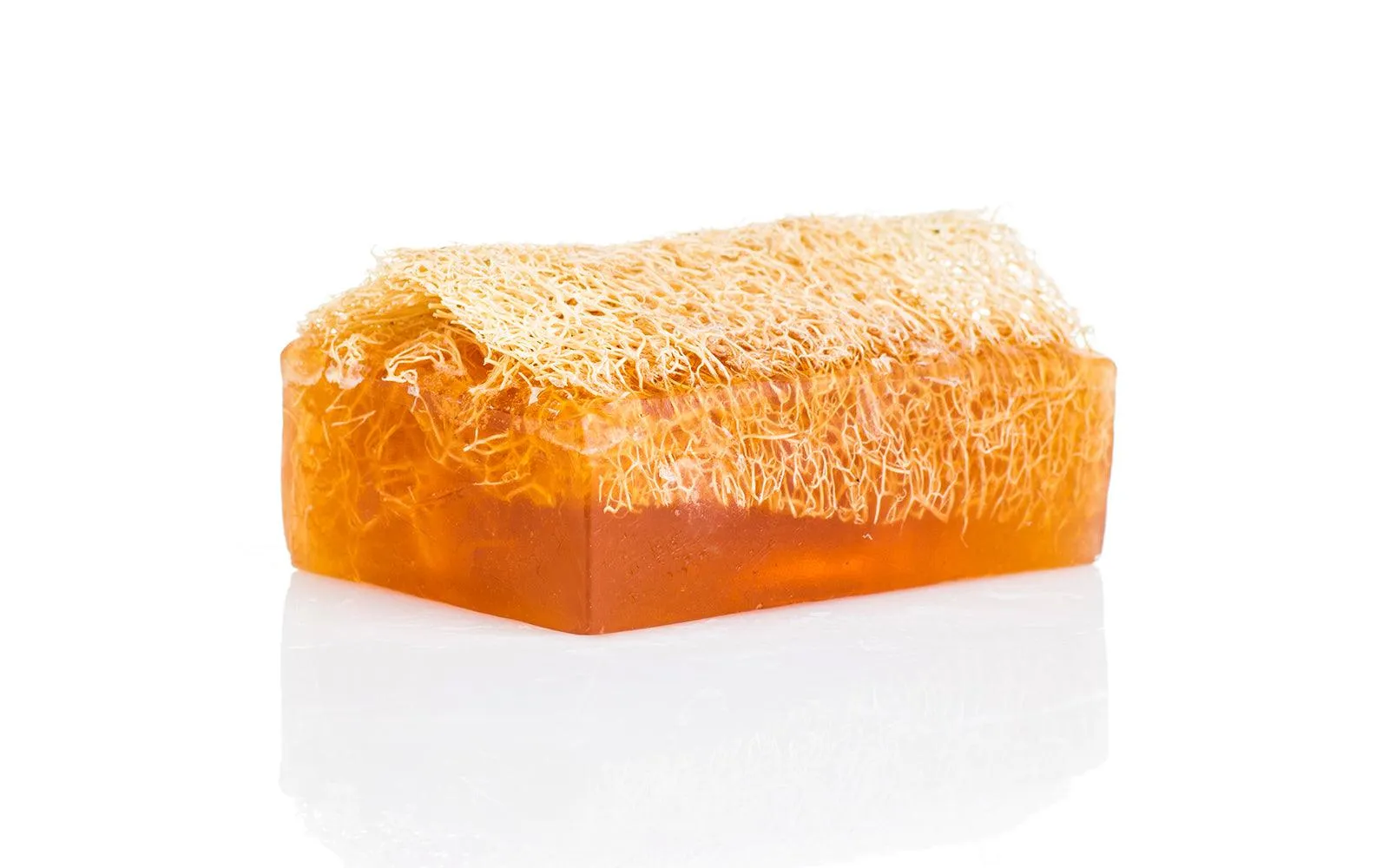 Coco-Nuts For You Loofah Soap