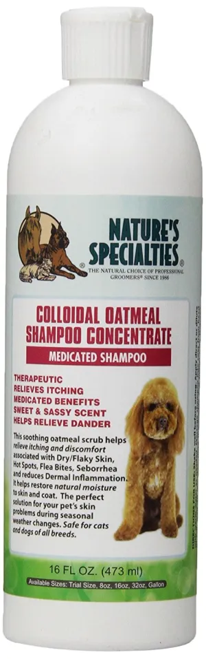 Colloidal Oatmeal Shampoo 16oz