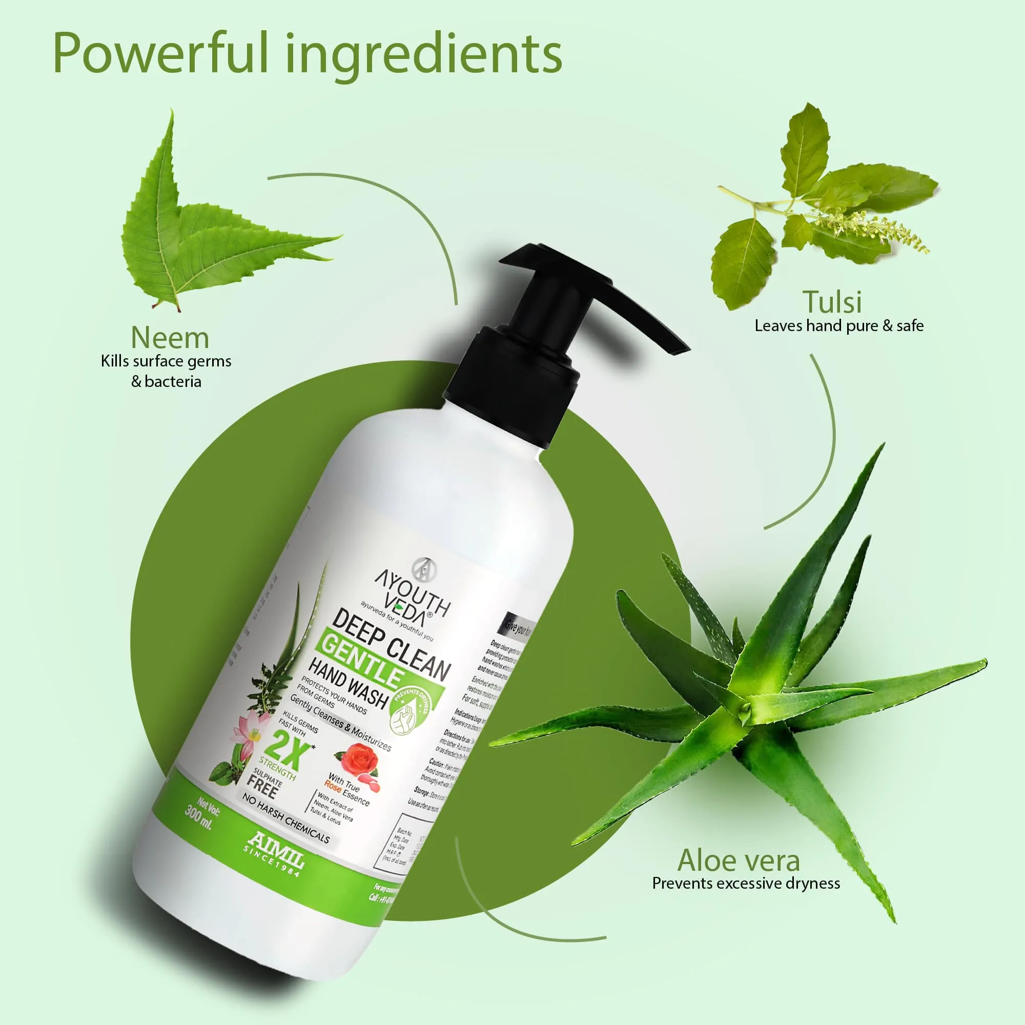 Deep Clean Gentle Hand Wash (Set of 2) (Net Qty -300 each)