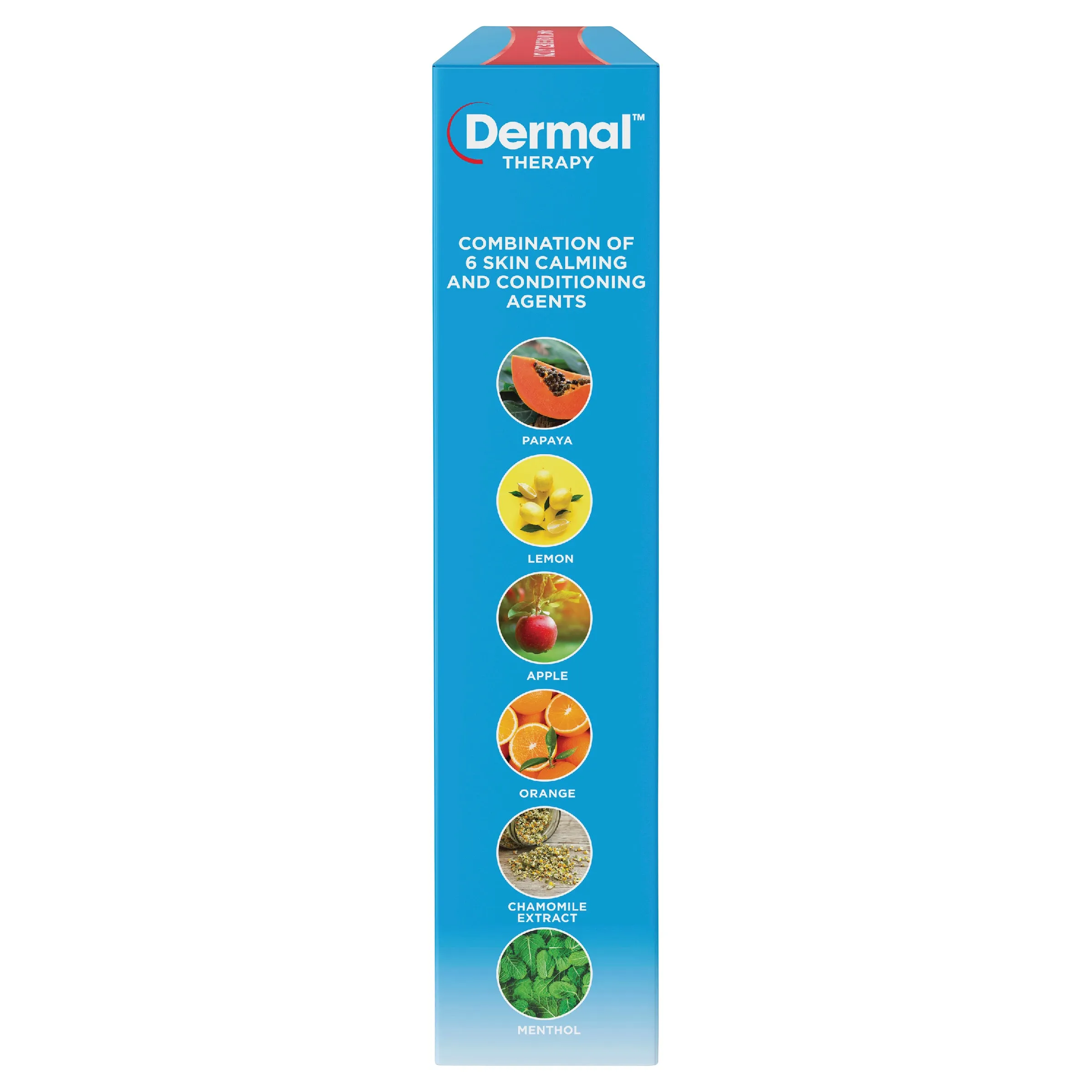 Dermal Therapy Exfoliating Foot Mask