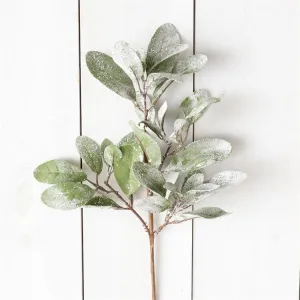Frosted Lambs Ear Pick, 18"