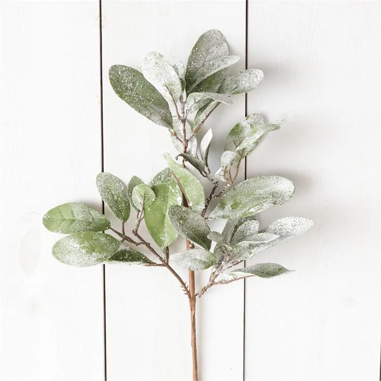 Frosted Lambs Ear Pick, 18"