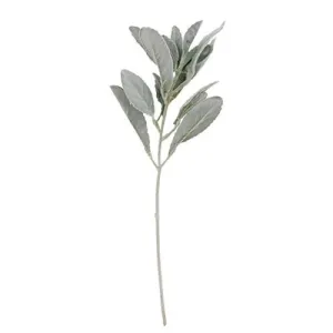 *Frosted Lamb's Ear Pick