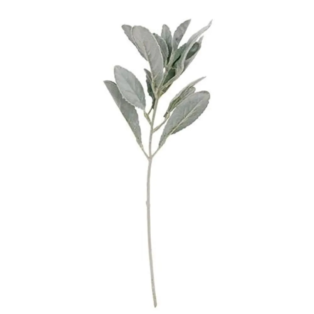 *Frosted Lamb's Ear Pick