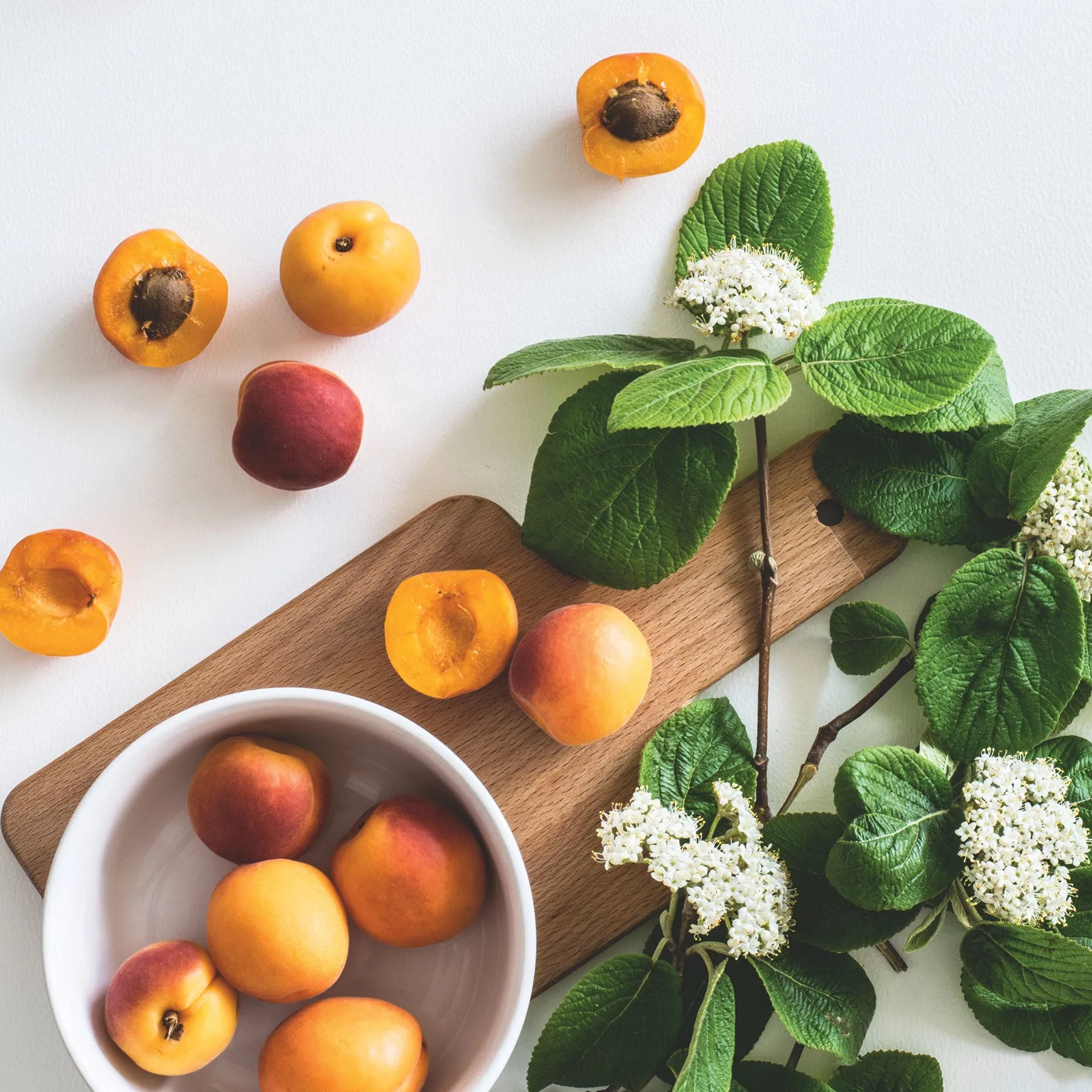 Georgia Peach Sea Salt Hand & Body Scrub