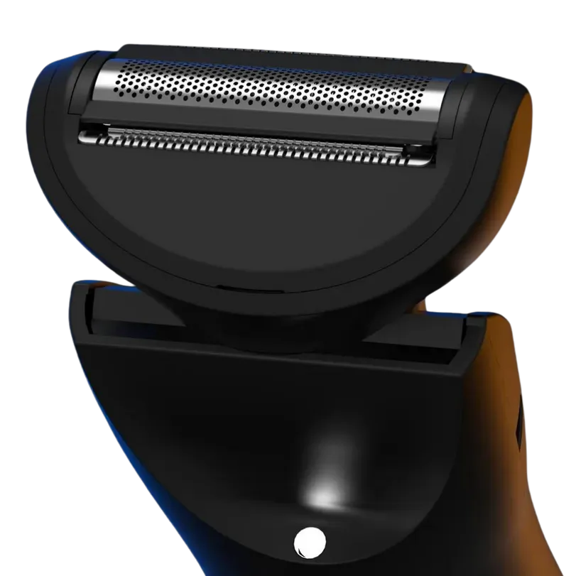 Interchangeable Shaving Head