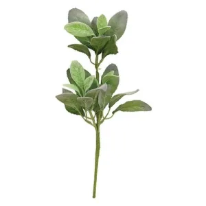 *Lamb's Ear Pick