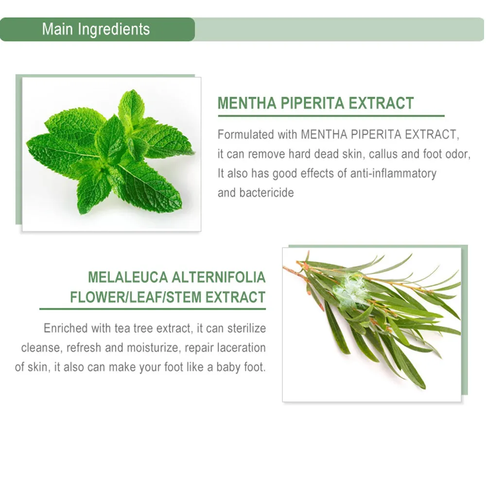 MOND'SUB  4PIECES Tea Tree Peel Foot Mask, Exfoliating, Removing Dead Skin, Moisturizing Heels, Rich In Tea Tree Essence, Pure Natural Extract.