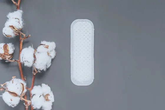 Natracare Mini Panty Liners