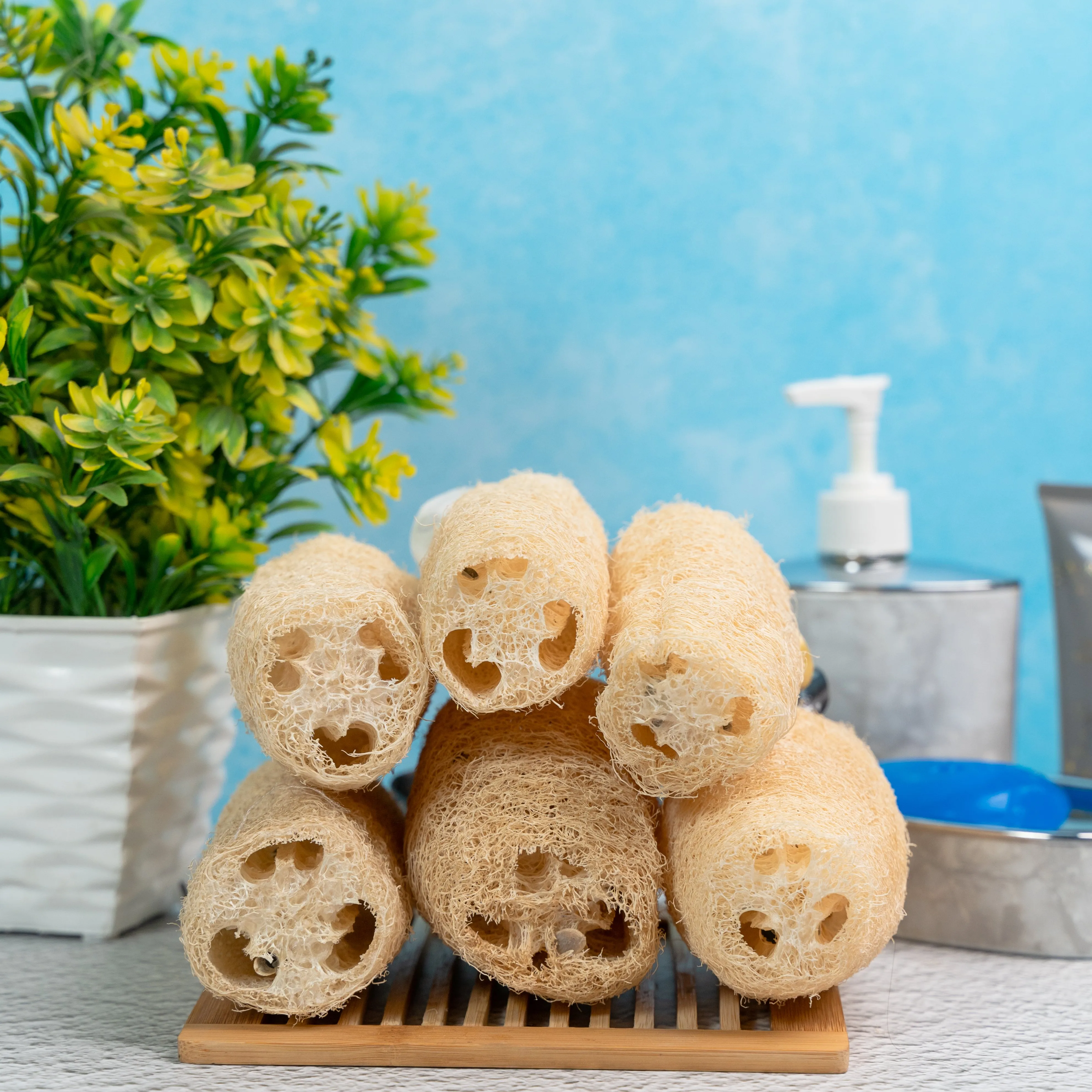 Natural organic loofah, body scrubber/sponge (Pack of 6)