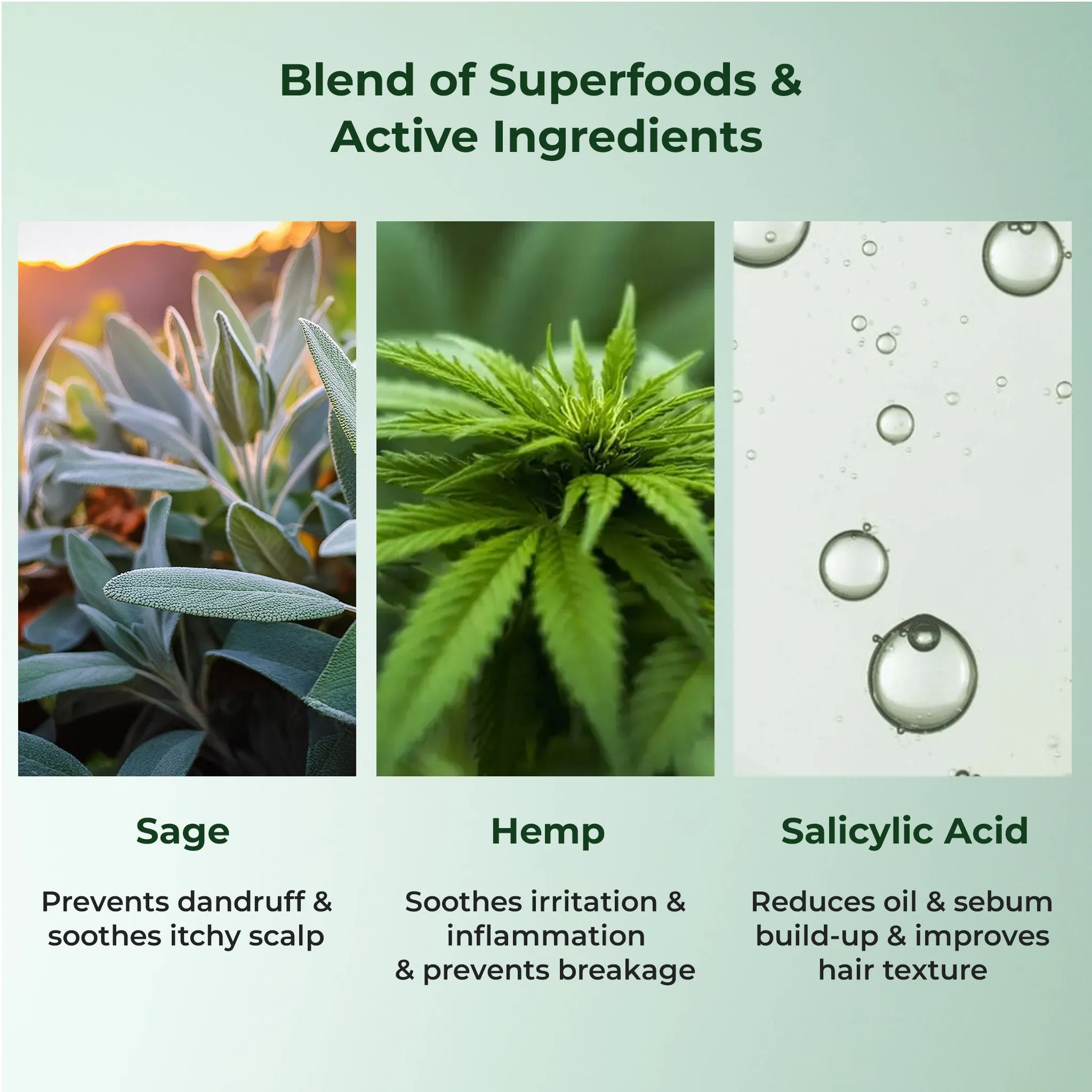 Naturali Anti-Dandruff Shampoo with Hemp, Sage & Salicylic Acid
