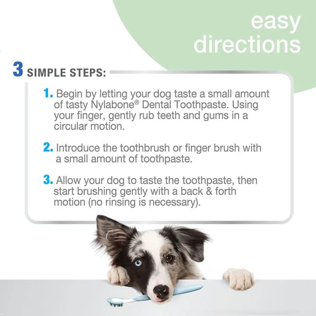 Nylabone Advanced Oral Care Toothpaste