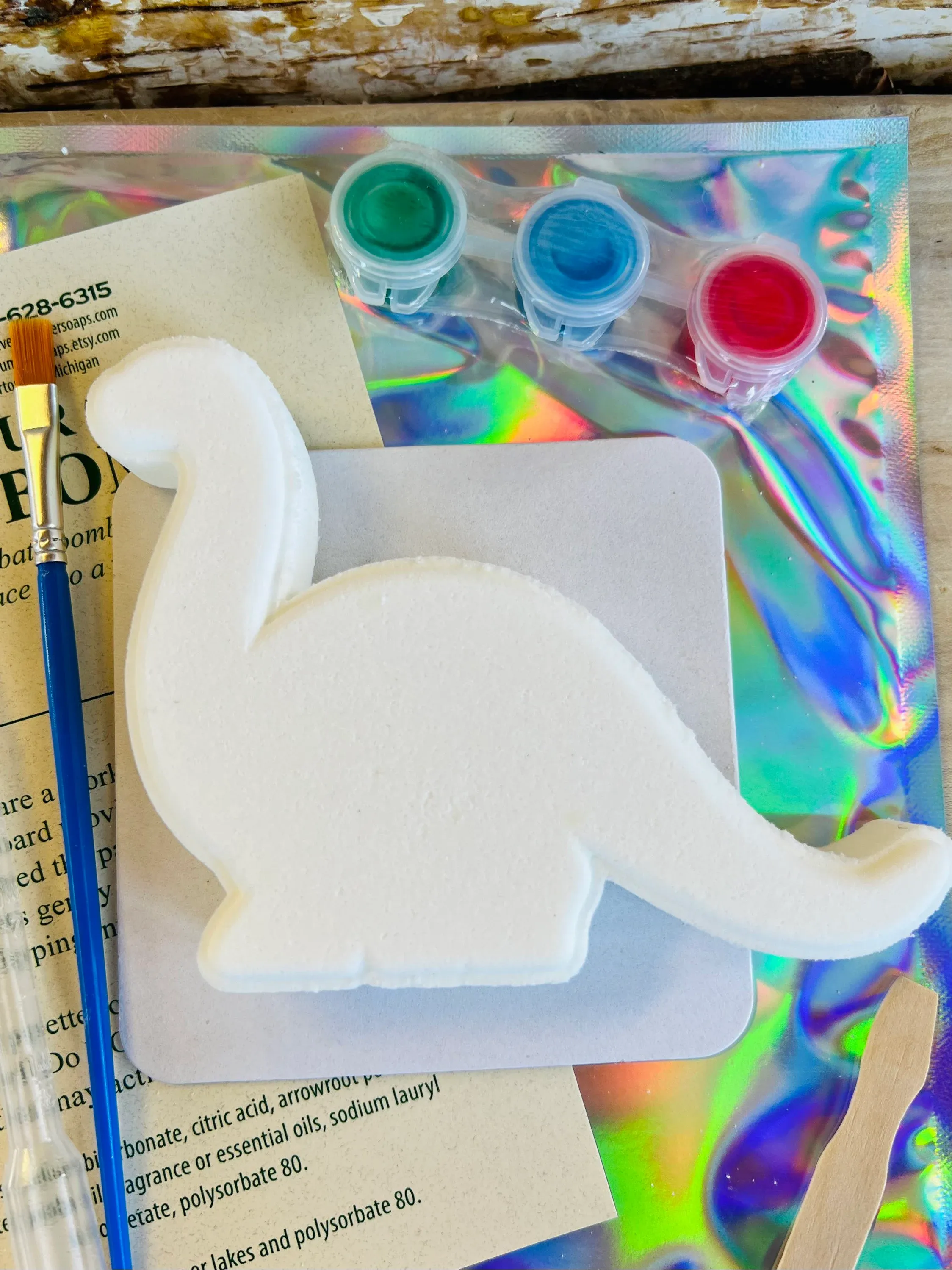 Paint Your Own Dinosaur Bath Bomb Kit