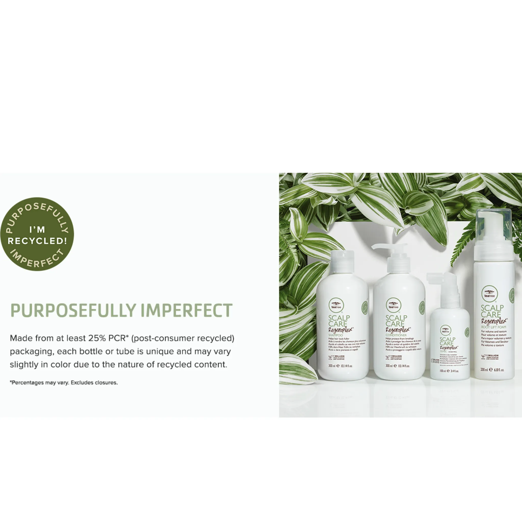 Paul Mitchell Tea Tree Scalp Care Regeniplex Shampoo