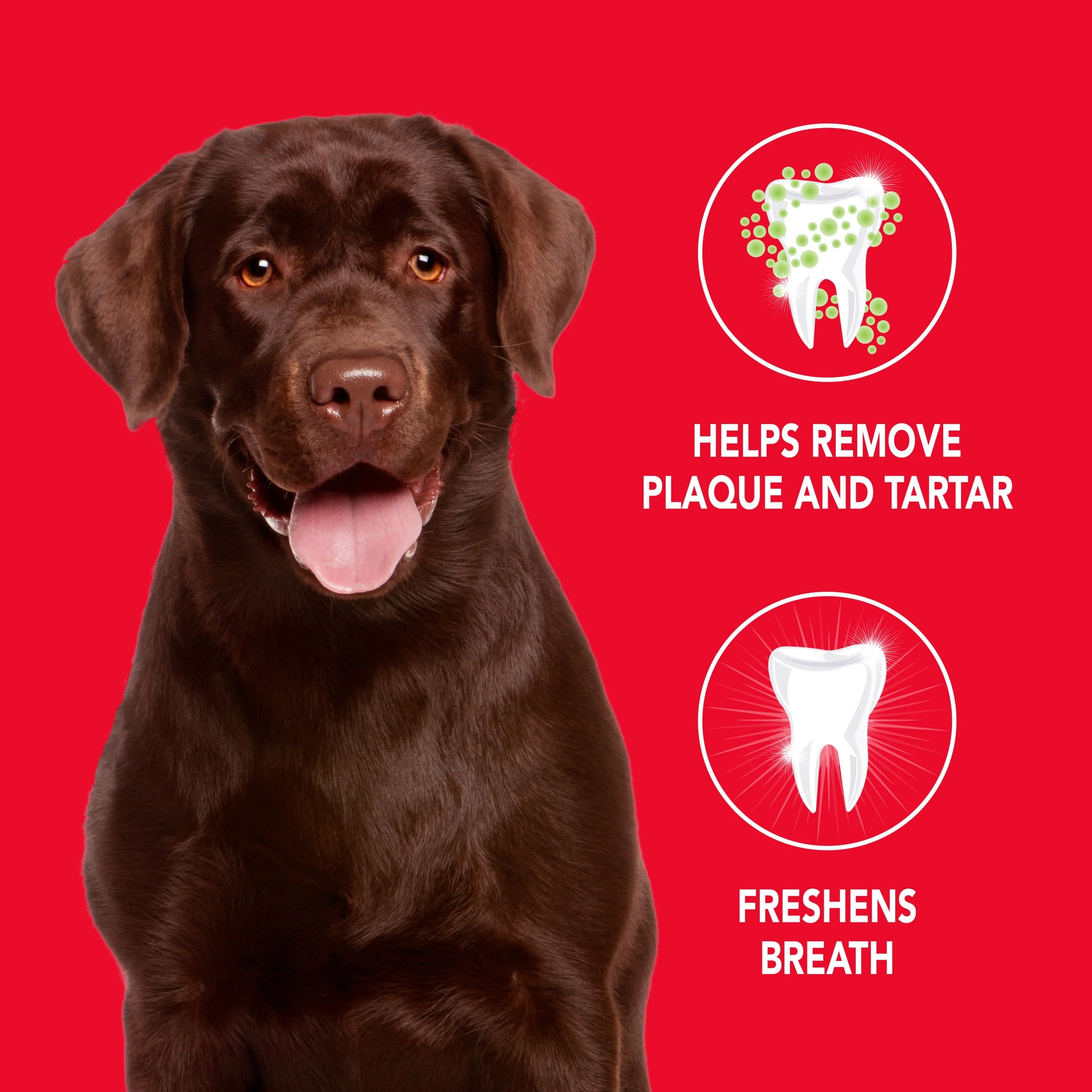PETRODEX Enzymatic Toothpaste For Dogs, 2.5 oz, Poultry Flavor