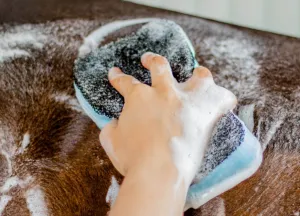 Power Shower Sponge - Tiger sponge