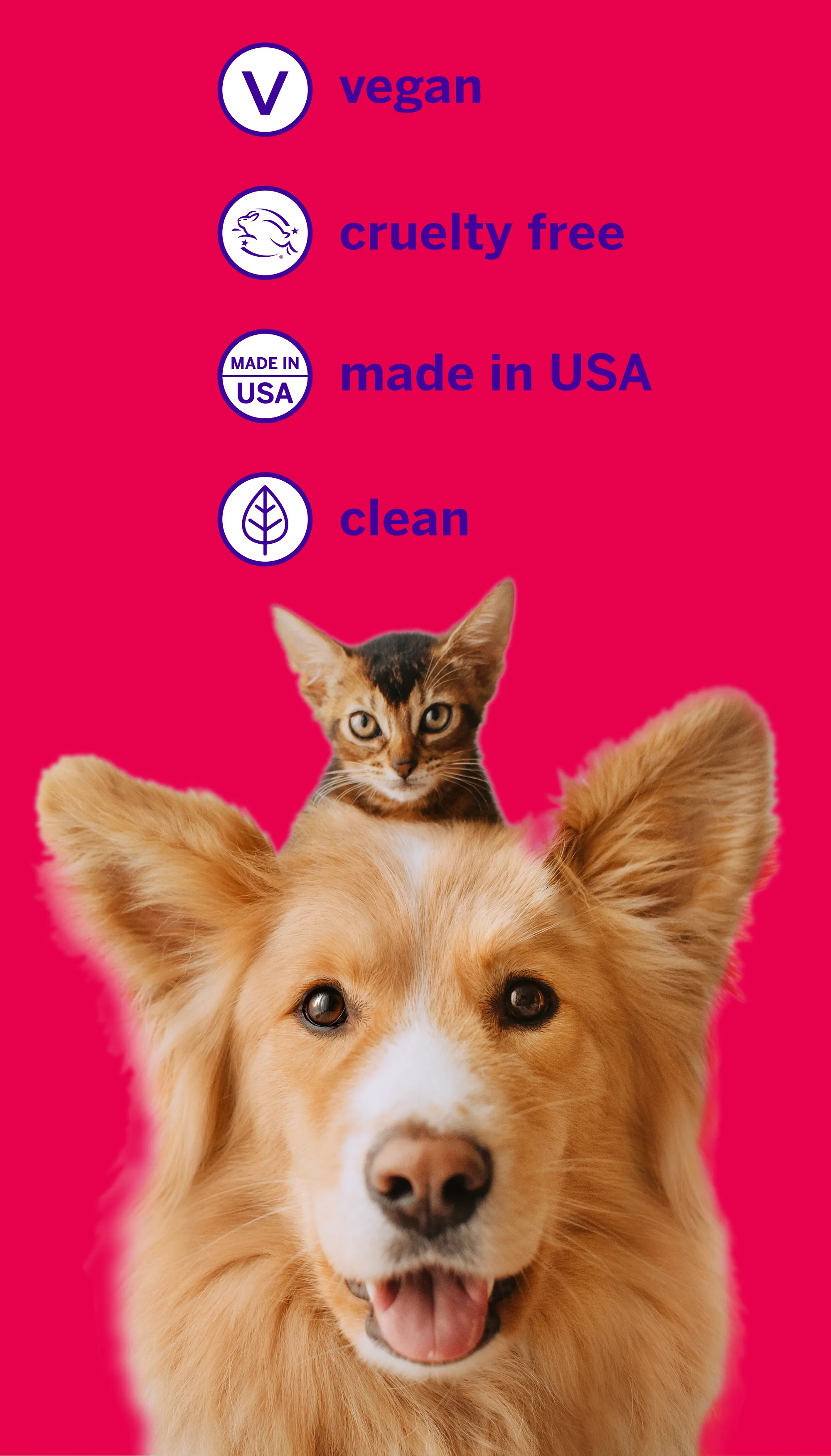 Professional Pet Toothpaste - Rotisserie Chicken Flavor - Small