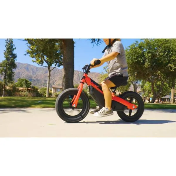 Razor Dash Balance E Bike Kids Early Learning Fun rider 3  Years