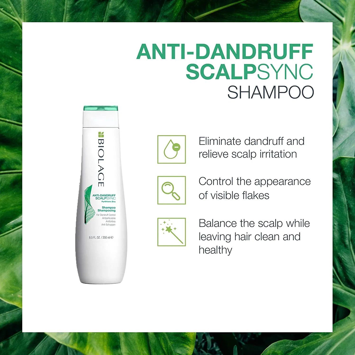 ScalpSync Anti-Dandruff Shampoo For Dandruff Control