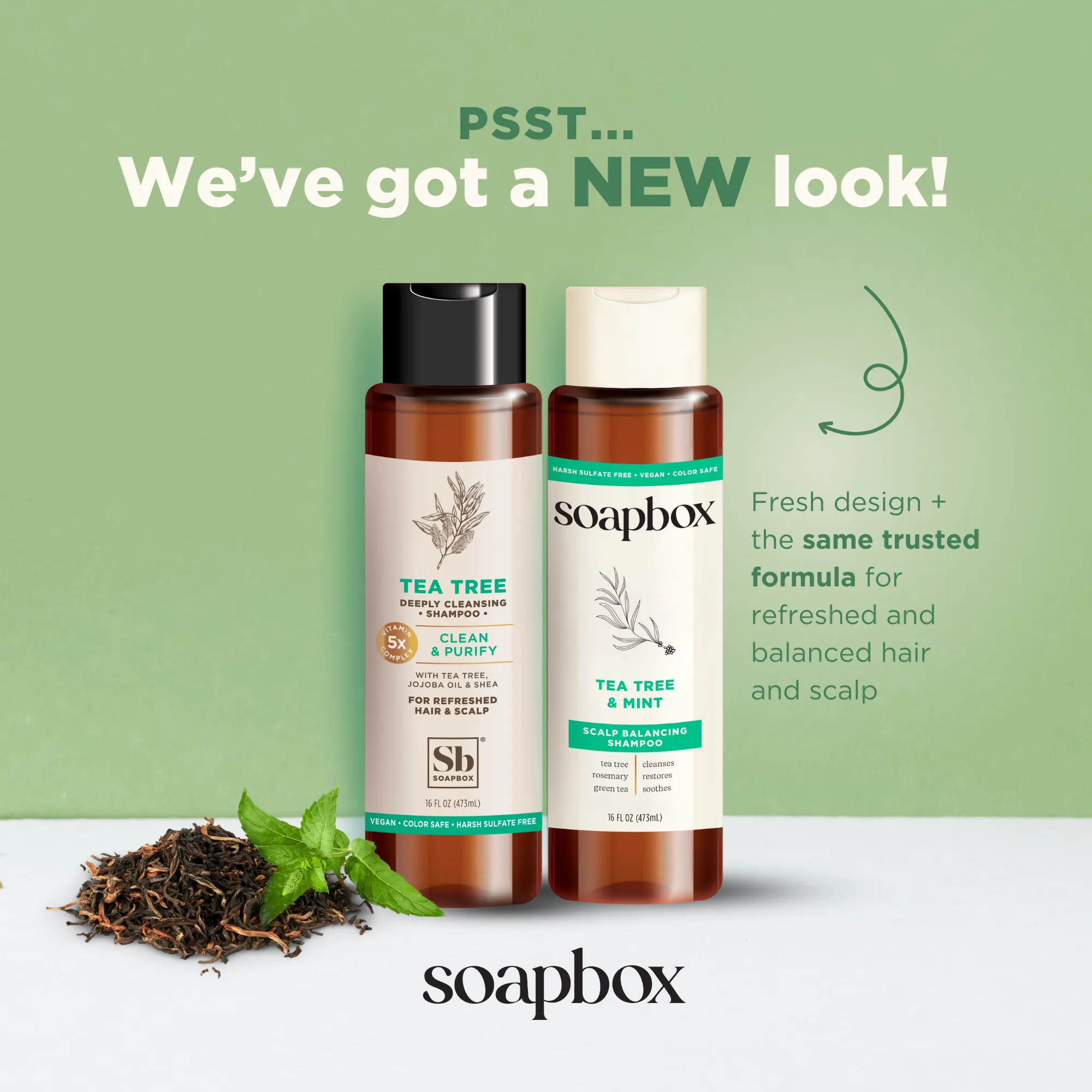 Tea Tree & Mint Scalp Balancing Shampoo   Conditioner Set
